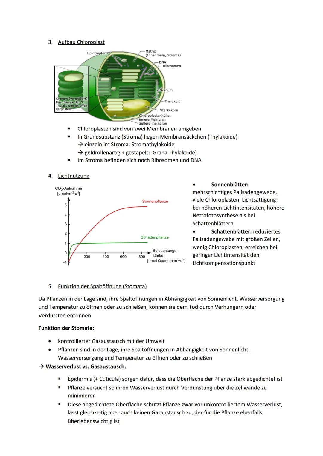 1. Bedeutung
●
●
●
■
●
zentraler Stoffwechselvorgang auf der Erde
aus energiereichen, anorganischen Stoffen (CO2 und Wasser) bauen Pflanzen 