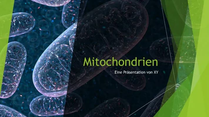 Know Präsentation über Mitochondrien  thumbnail