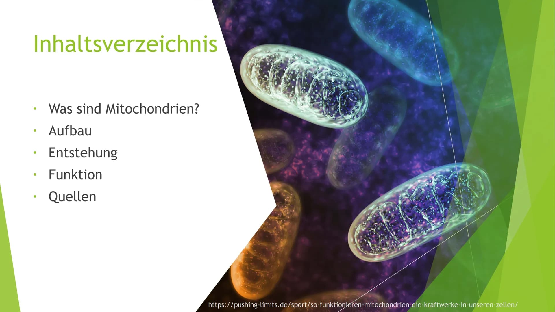 Mitochondrien
Eine Präsentation von XY Inhaltsverzeichnis
Was sind Mitochondrien?
Aufbau
Entstehung
Funktion
Quellen
totes
https://pushing-l