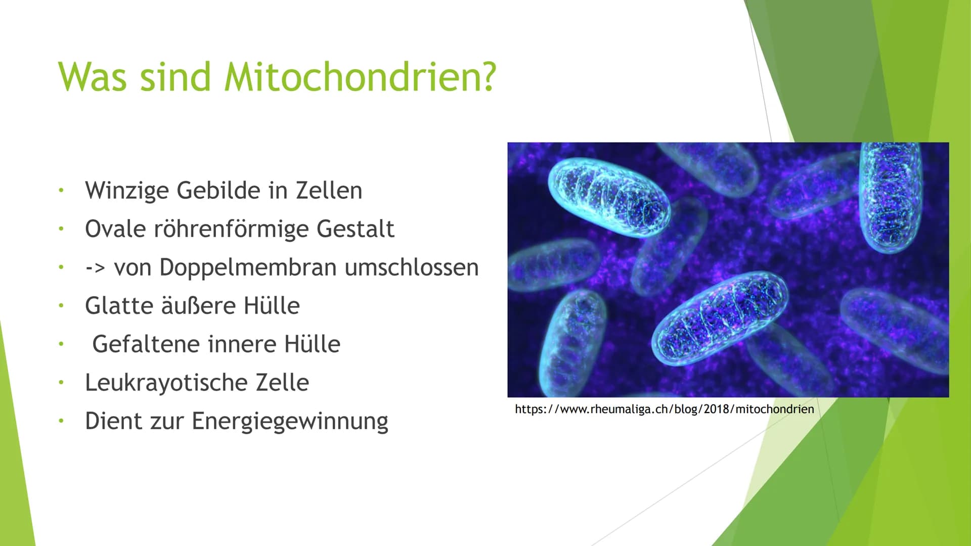 Mitochondrien
Eine Präsentation von XY Inhaltsverzeichnis
Was sind Mitochondrien?
Aufbau
Entstehung
Funktion
Quellen
totes
https://pushing-l