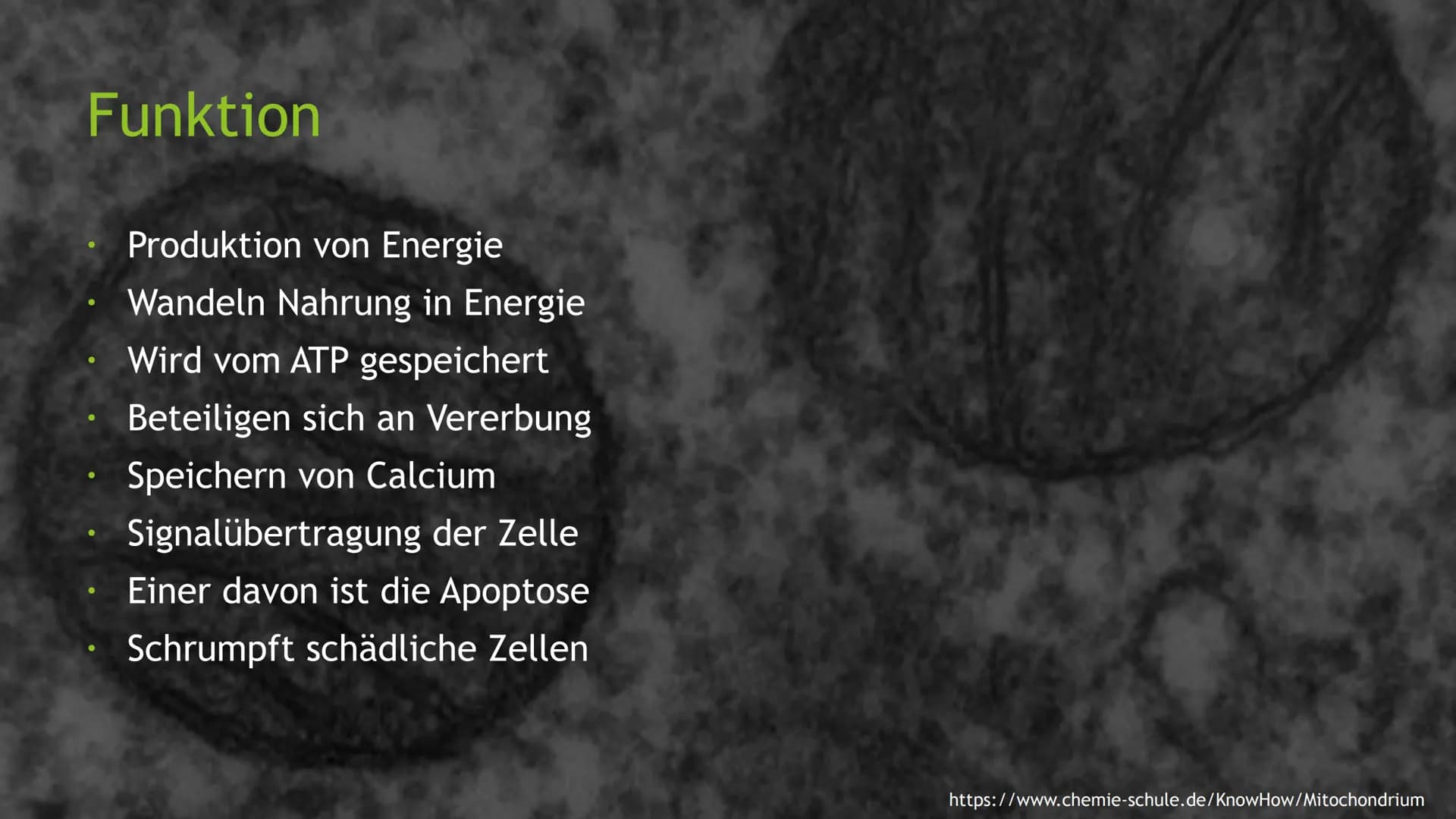 Mitochondrien
Eine Präsentation von XY Inhaltsverzeichnis
Was sind Mitochondrien?
Aufbau
Entstehung
Funktion
Quellen
totes
https://pushing-l