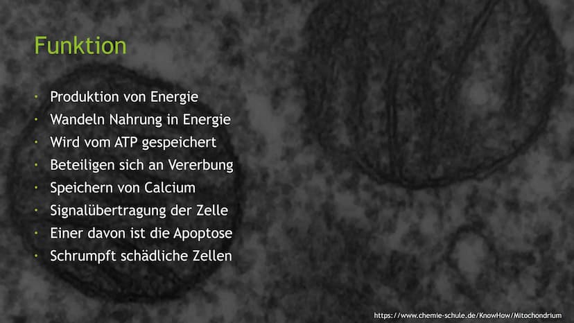 Mitochondrien
Eine Präsentation von XY Inhaltsverzeichnis
Was sind Mitochondrien?
Aufbau
Entstehung
Funktion
Quellen
totes
https://pushing-l