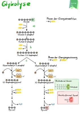 Know Glycolyse thumbnail