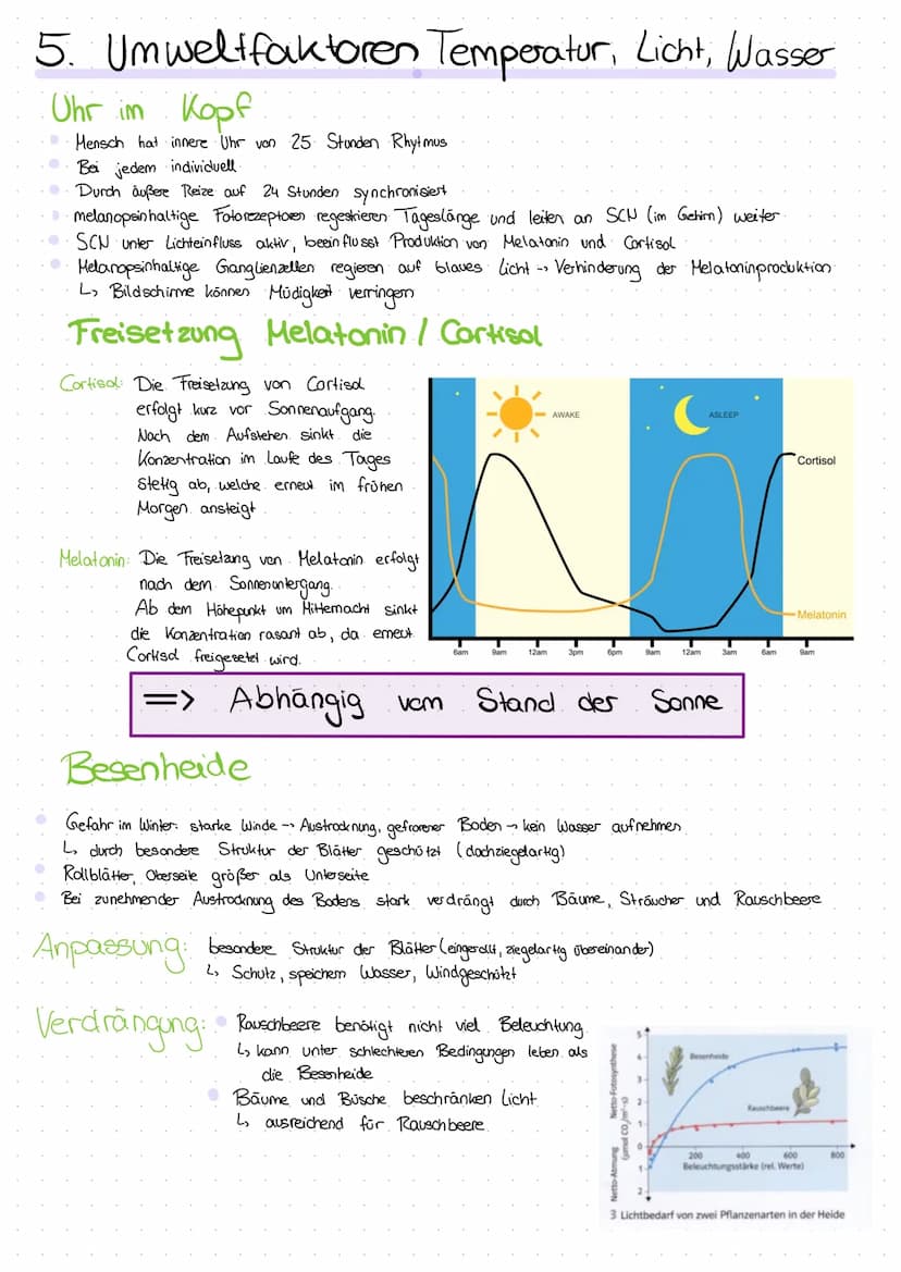 1 Begriffe der Ökologie
Autökologie Beziehung einzelner Lebewesen.
Synäkologie Beziehung zwischen Lebewesen
Art: Klar definierte
zur Umwelt
