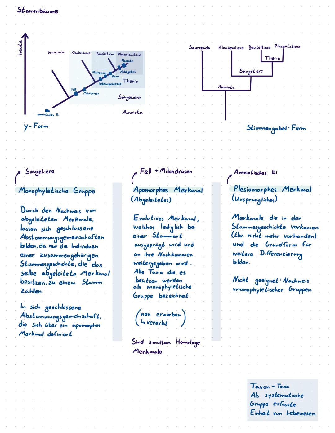 Stammbäume

heute

y-Form

Sauropsida Kloakenliere Bouteltiere Plazentatieve

Plasenta

Milchgebiss
Darm
Theria
lobend gebirend
Feld

Säugel