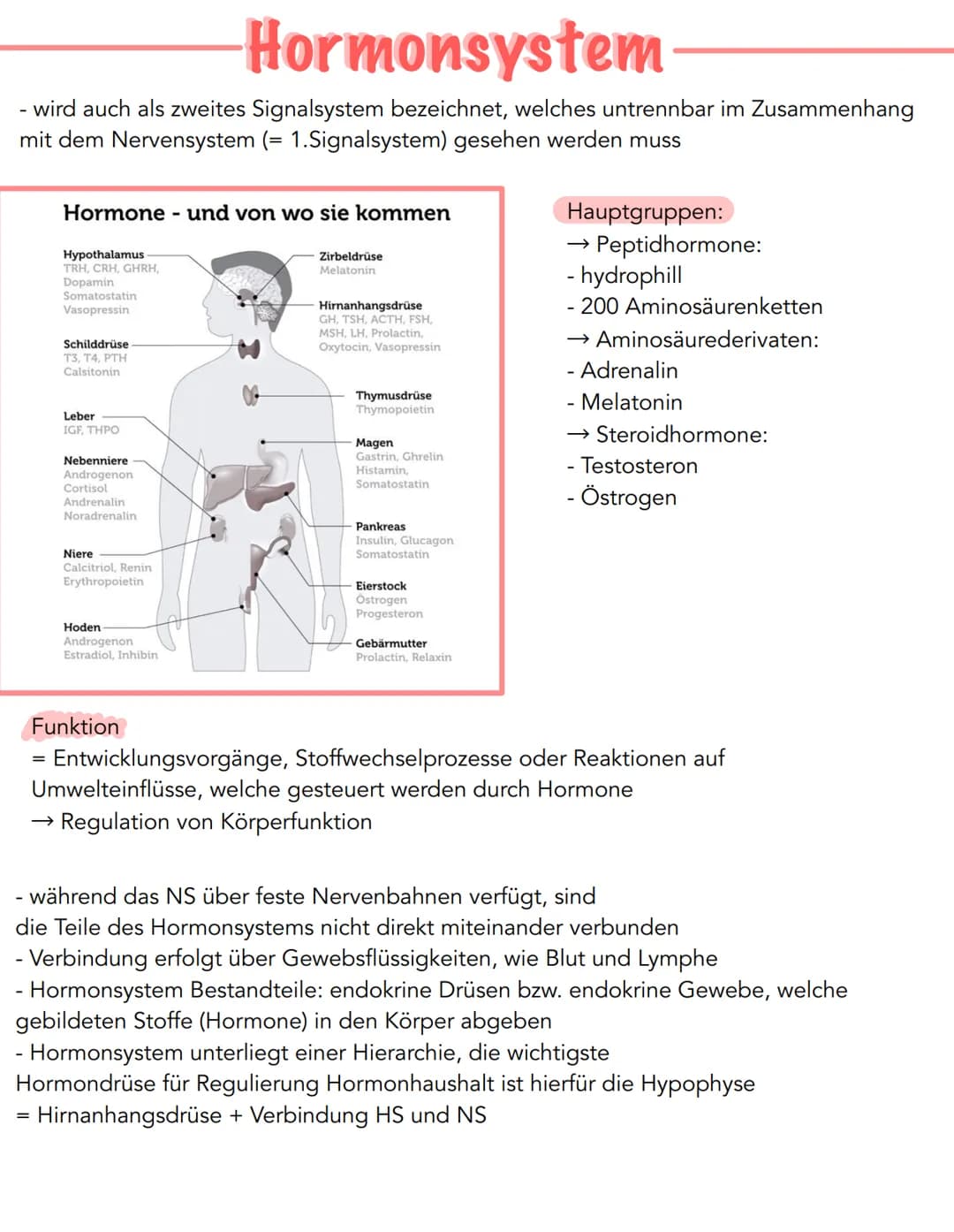 Hormonsystem
wird auch als zweites Signalsystem bezeichnet, welches untrennbar im Zusammenhang
mit dem Nervensystem (= 1.Signalsystem) geseh