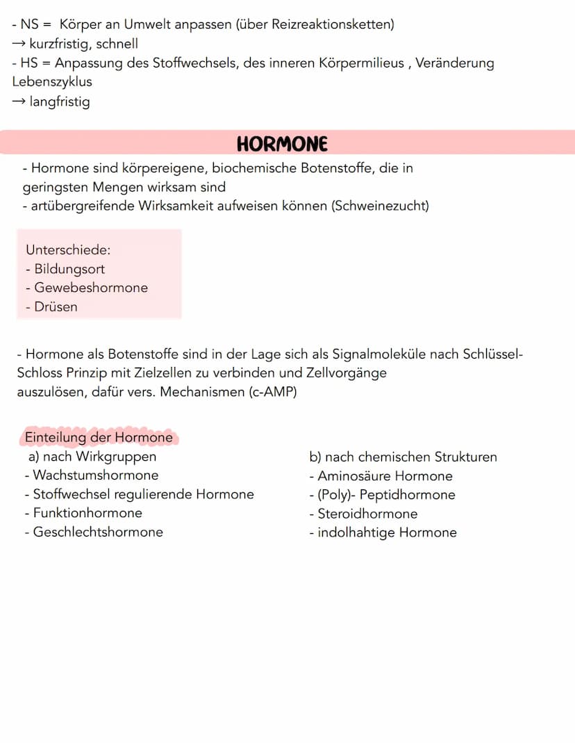 Hormonsystem
wird auch als zweites Signalsystem bezeichnet, welches untrennbar im Zusammenhang
mit dem Nervensystem (= 1.Signalsystem) geseh