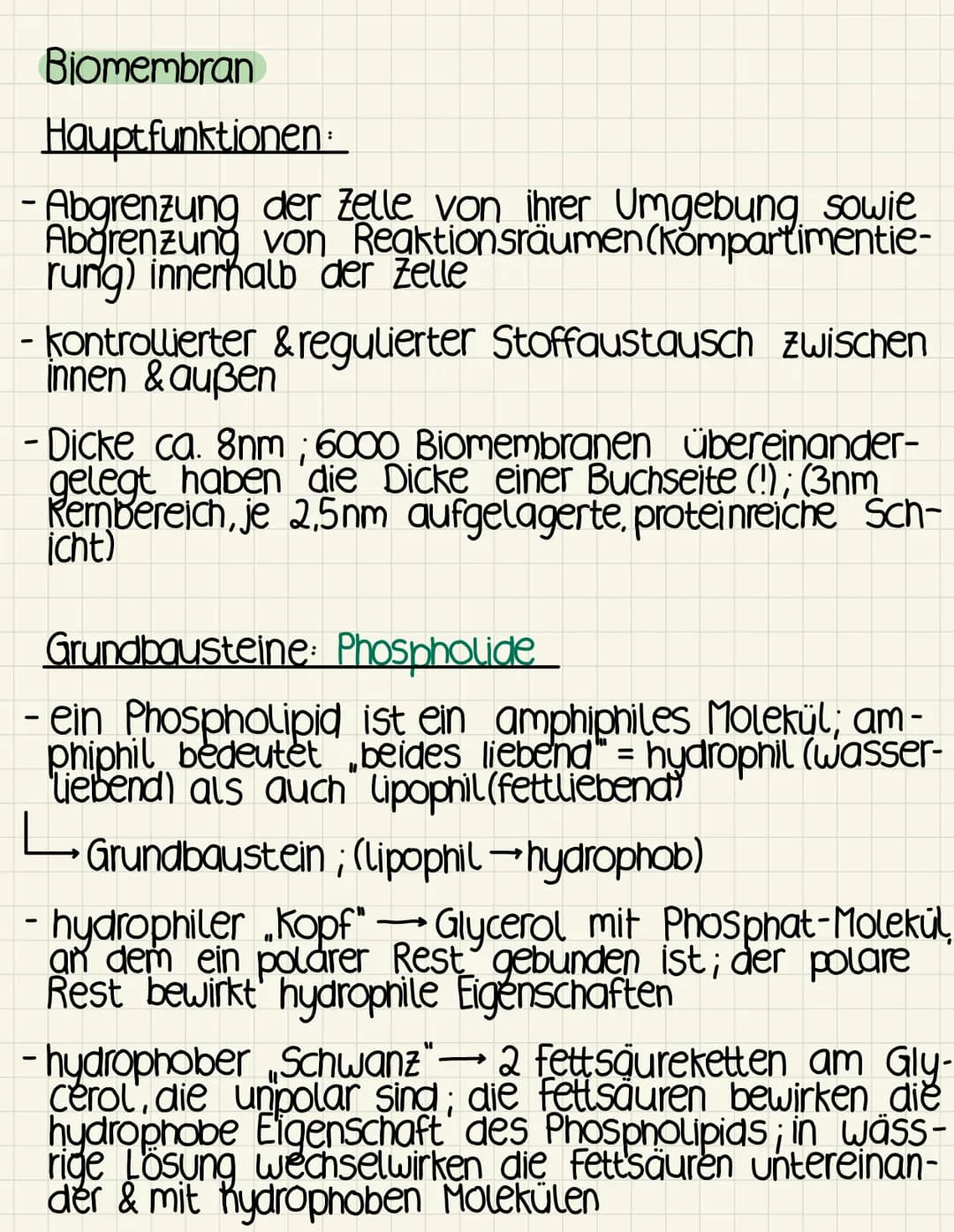 Biomembran
Hauptfunktionen
-Abgrenzung der Zelle von ihrer Umgebung sowie
Abgrenzung von Reaktionsräumen (kompartimentie-
rung) innerhalb de