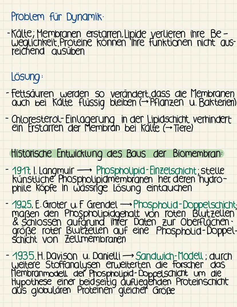 Biomembran
Hauptfunktionen
-Abgrenzung der Zelle von ihrer Umgebung sowie
Abgrenzung von Reaktionsräumen (kompartimentie-
rung) innerhalb de
