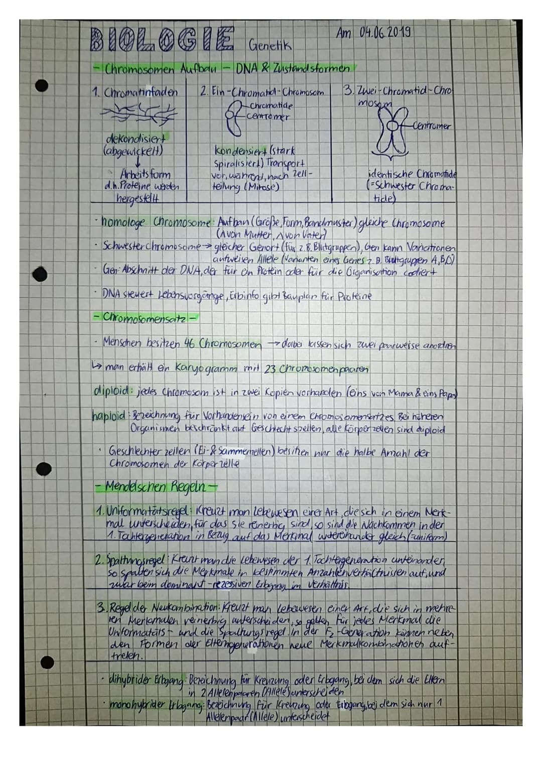 BIOLOGIE Genetiks
Chromosomen Aufbau DNA & Zustandsformen
1. Chromatinfaden 2. Ein-Chromand-Chromosom 3. Zwei-Chromatid-Chro
-Chromatide
cen