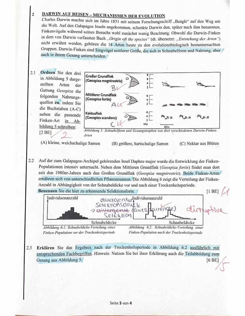 Name:
1.2
Schulaufgabe aus der Biologie (ABA (12/1)
am 17.11.2023
Achten Sie auf eine saubere, äußere Form und die korrekte Verwendung der F