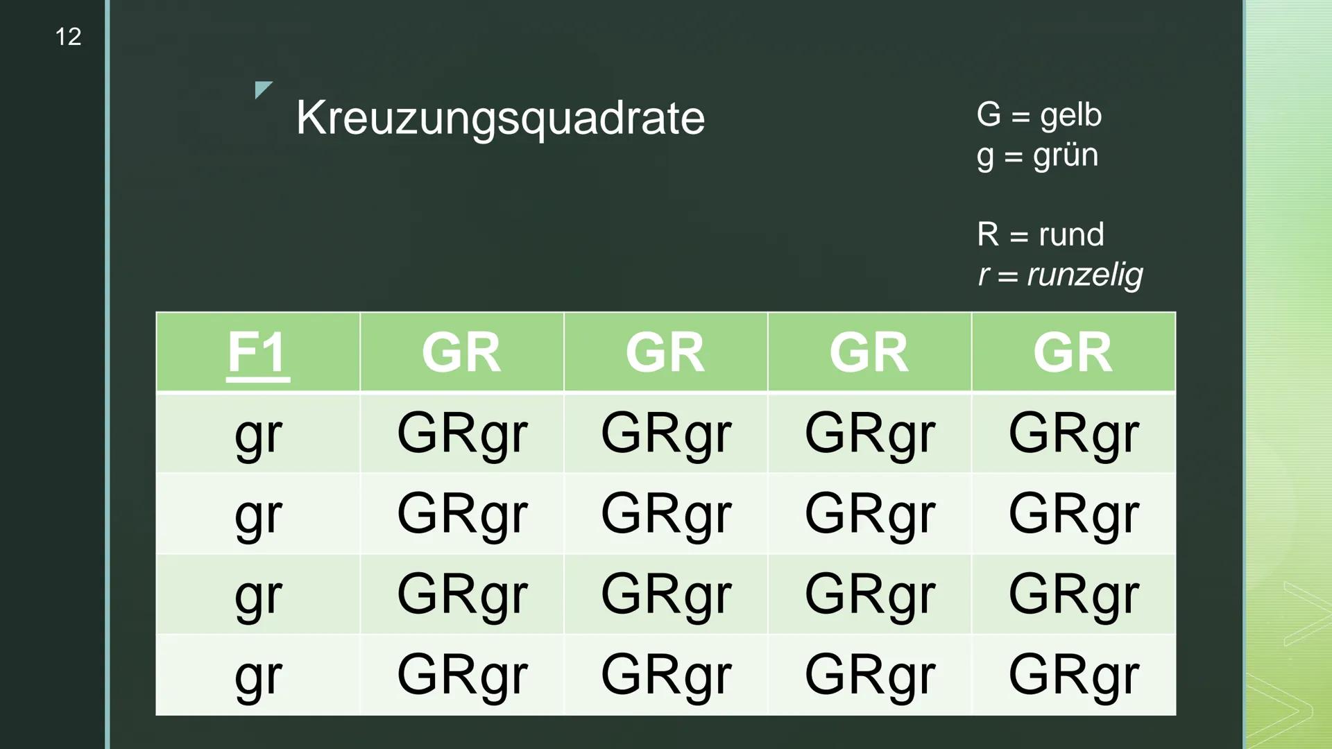 Vererbung - Die
Mendelschen Regeln
Genetik
Schunk, Nele, Q1c 2
Inhaltsverzeichnis
▪ Wer war Gregor Mendel?
Begriffserklärungen
▪ Die drei Me