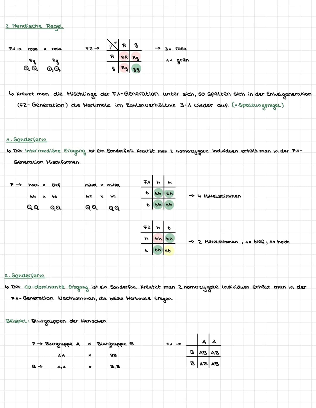 II.
Mendelsche Regeln
äußerers Erscheinungsbild eines Individums
Genotyp → genitische Ausstattung eines Individums
dominant → überlegendes M