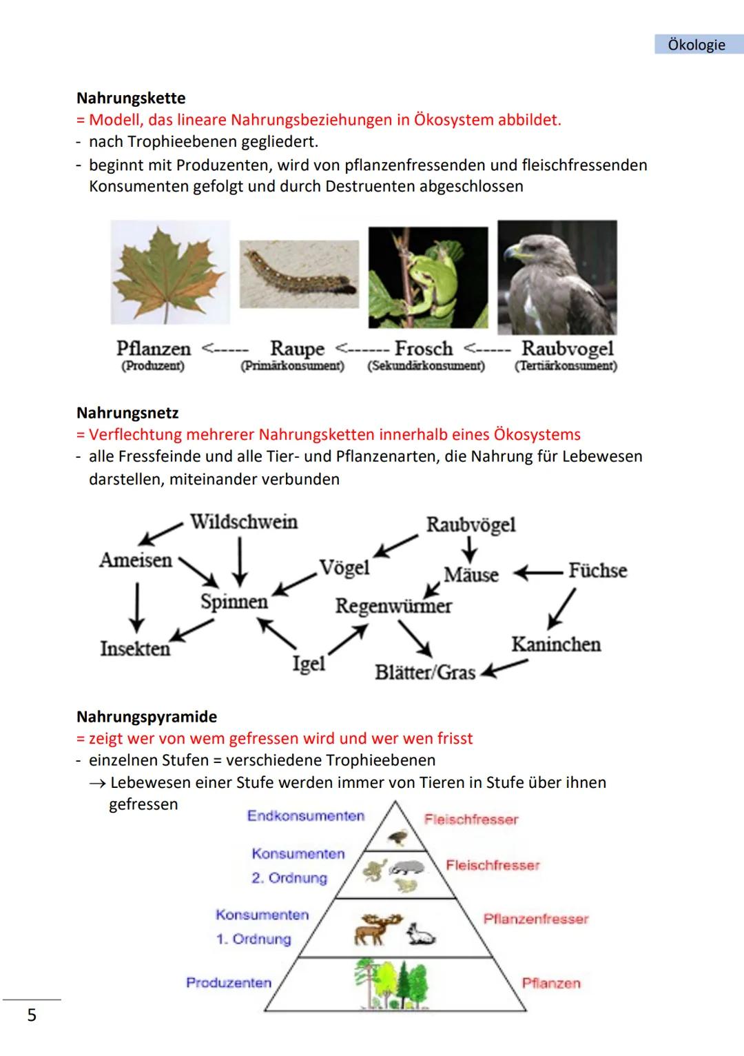 Ökologie

Ökologie

= befasst sich mit Wechselbeziehungen zwischen Lebewesen und ihrer Umwelt

wichtige Begriffe

Biosphäre Gesamtheit des v