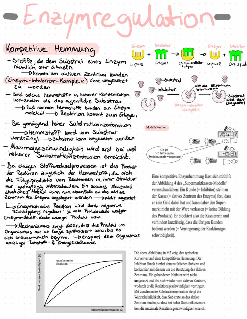 Enzyme in Alltag
Proteine
Proteine sind Eiweißstoffe, die aus 20 verschiedenen
Aminosäuren aufgebaut sind. Ihre Primärstruktur
(durch Peptid