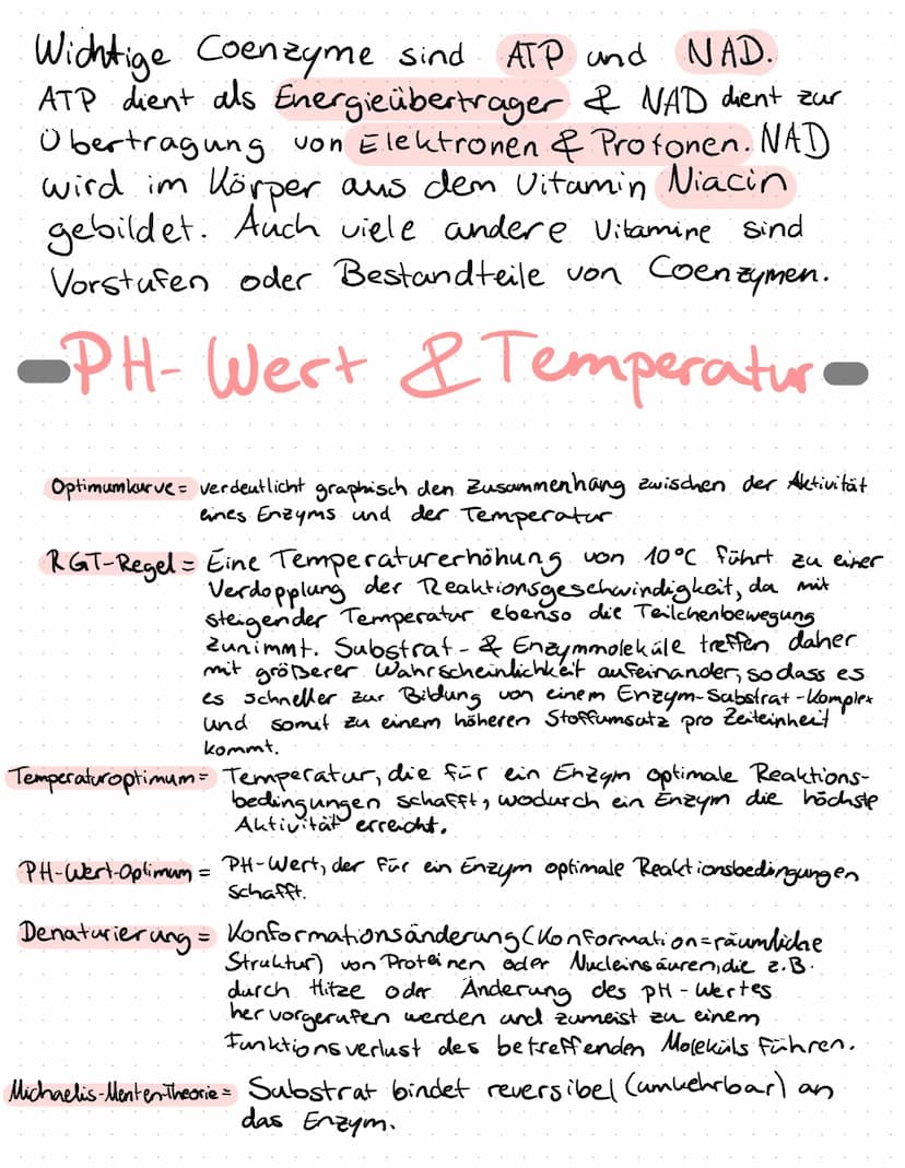 Enzyme in Alltag
Proteine
Proteine sind Eiweißstoffe, die aus 20 verschiedenen
Aminosäuren aufgebaut sind. Ihre Primärstruktur
(durch Peptid