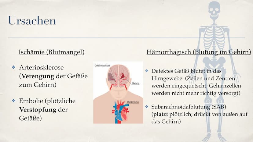 Schlaganfall (APOPLEX)
von Nèle Beier
27.02.2021 ,,Mit einem Schlag ist alles anders."
-Christine Hyung-Oak Lee
Christine Hyung-Oak Lee
TELL