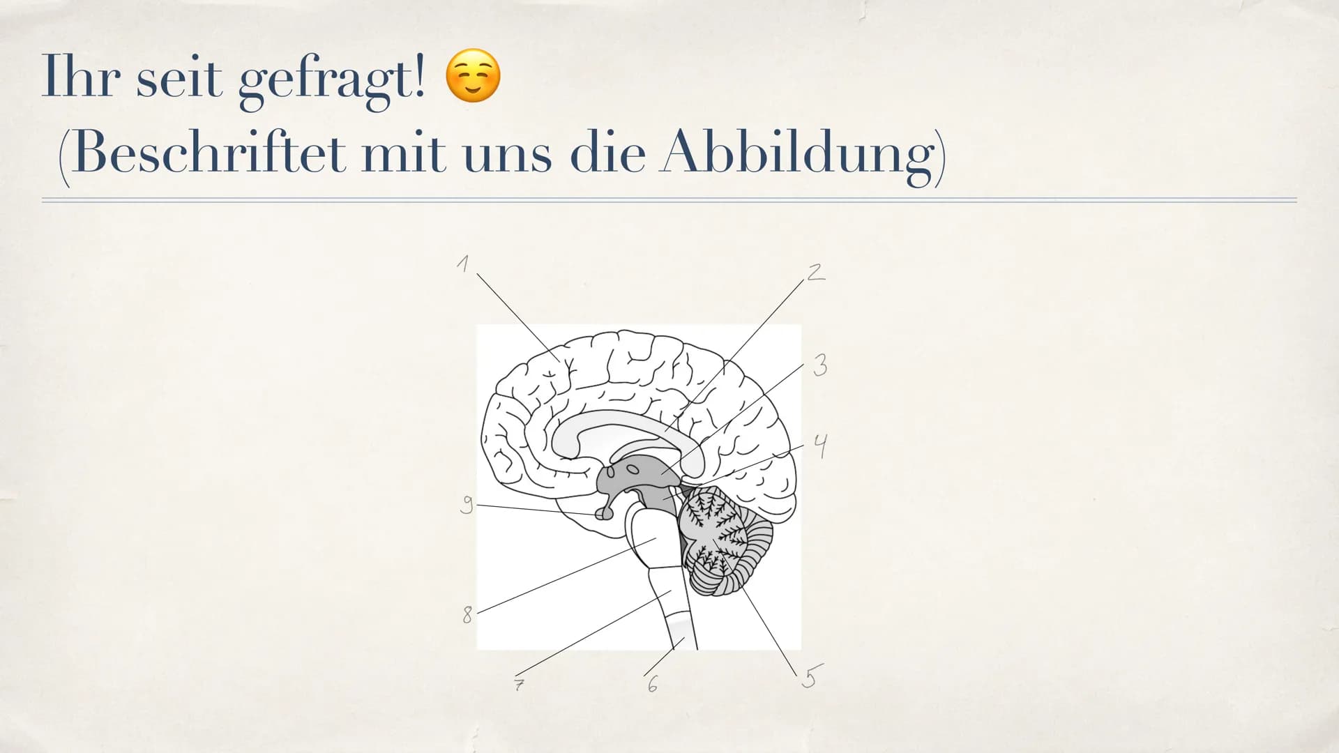 Schlaganfall (APOPLEX)
von Nèle Beier
27.02.2021 ,,Mit einem Schlag ist alles anders."
-Christine Hyung-Oak Lee
Christine Hyung-Oak Lee
TELL