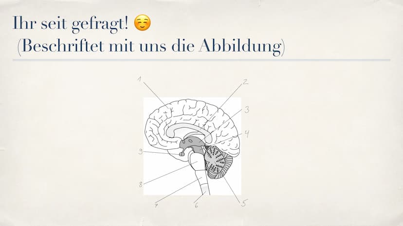 Schlaganfall (APOPLEX)
von Nèle Beier
27.02.2021 ,,Mit einem Schlag ist alles anders."
-Christine Hyung-Oak Lee
Christine Hyung-Oak Lee
TELL