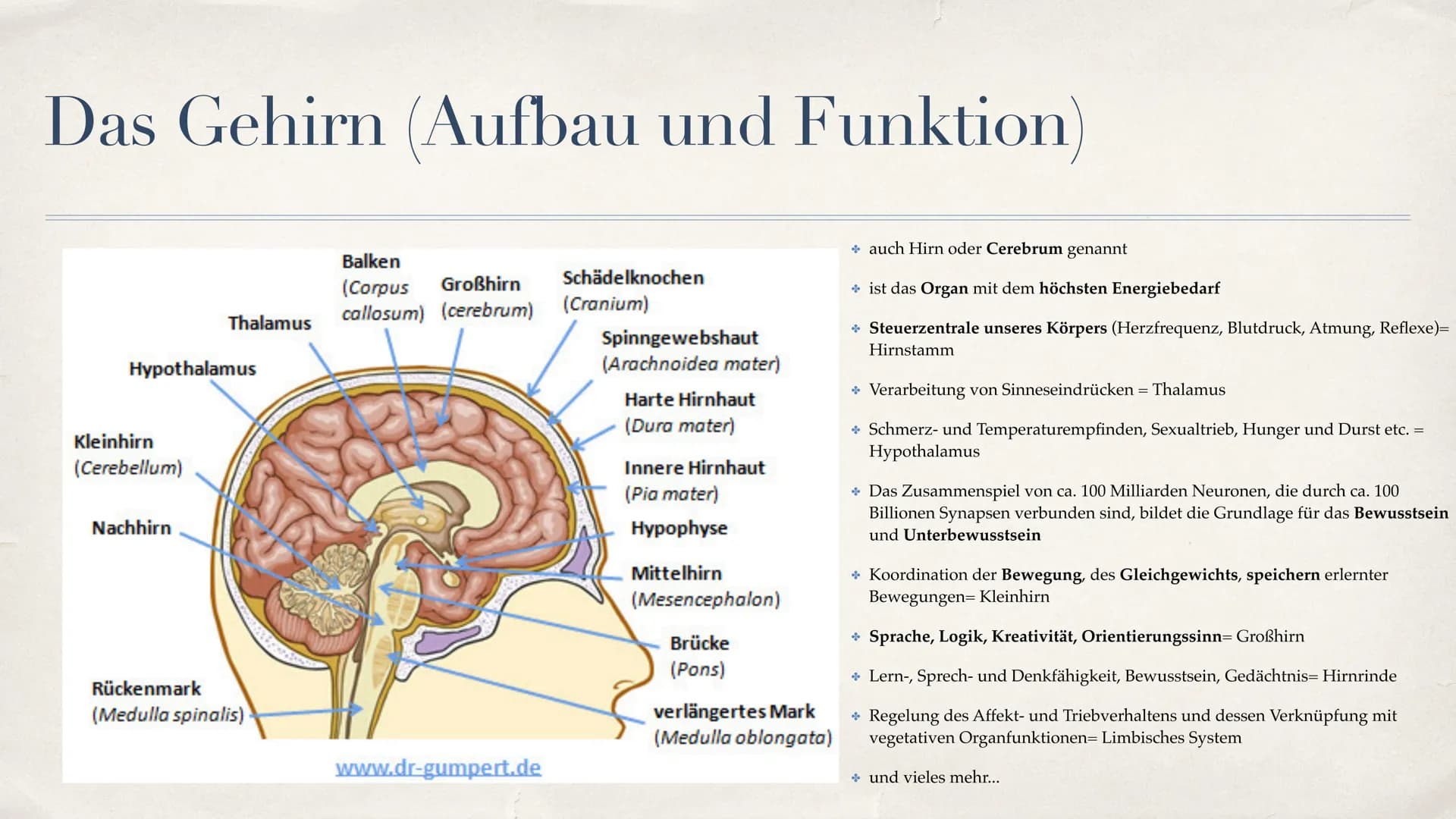 Schlaganfall (APOPLEX)
von Nèle Beier
27.02.2021 ,,Mit einem Schlag ist alles anders."
-Christine Hyung-Oak Lee
Christine Hyung-Oak Lee
TELL