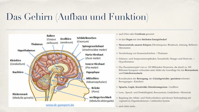 Schlaganfall (APOPLEX)
von Nèle Beier
27.02.2021 ,,Mit einem Schlag ist alles anders."
-Christine Hyung-Oak Lee
Christine Hyung-Oak Lee
TELL