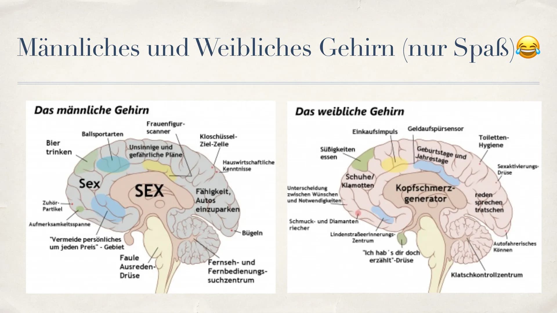 Schlaganfall (APOPLEX)
von Nèle Beier
27.02.2021 ,,Mit einem Schlag ist alles anders."
-Christine Hyung-Oak Lee
Christine Hyung-Oak Lee
TELL