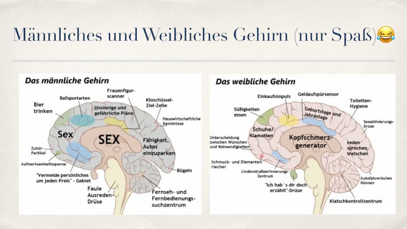 Schlaganfall (APOPLEX)
von Nèle Beier
27.02.2021 ,,Mit einem Schlag ist alles anders."
-Christine Hyung-Oak Lee
Christine Hyung-Oak Lee
TELL