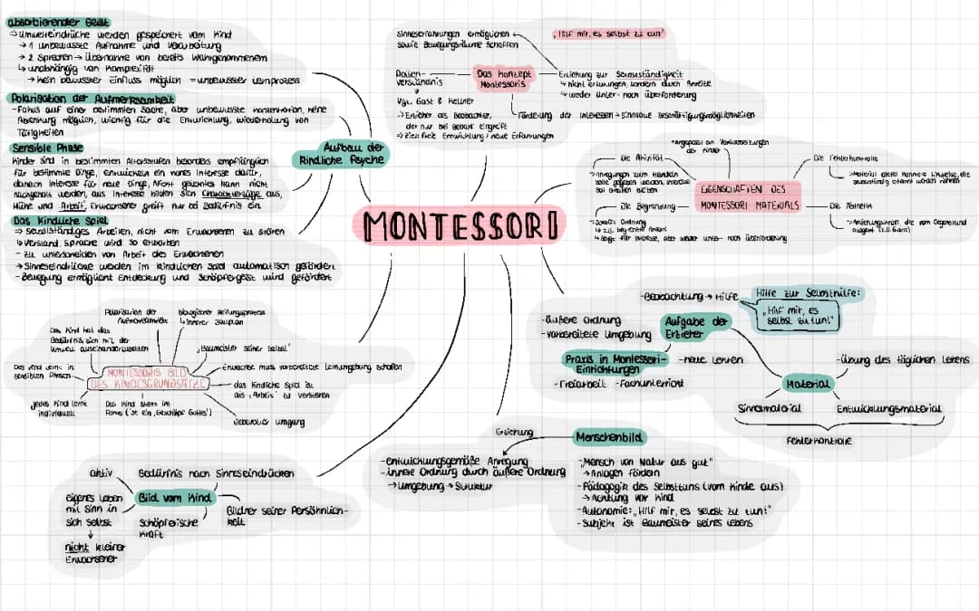 Montessori-Pädagogik/Erziehungswissenschaft
