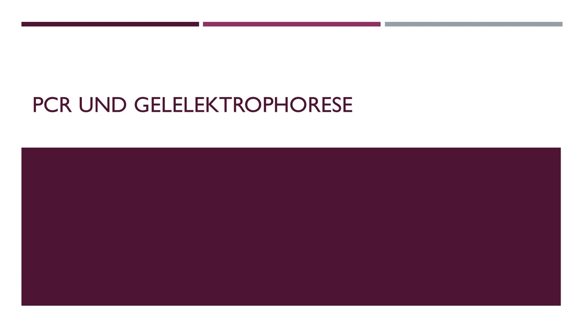 PCR UND GELELEKTROPHORESE INHALTSVERZEICHNIS
PCR
1. Was ist PCR?
2. Kary Mullis
3. Warum wird PCR durchgeführt
4. Was wird für die PCR-Reakt