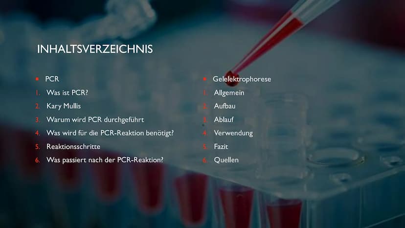 PCR UND GELELEKTROPHORESE INHALTSVERZEICHNIS
PCR
1. Was ist PCR?
2. Kary Mullis
3. Warum wird PCR durchgeführt
4. Was wird für die PCR-Reakt