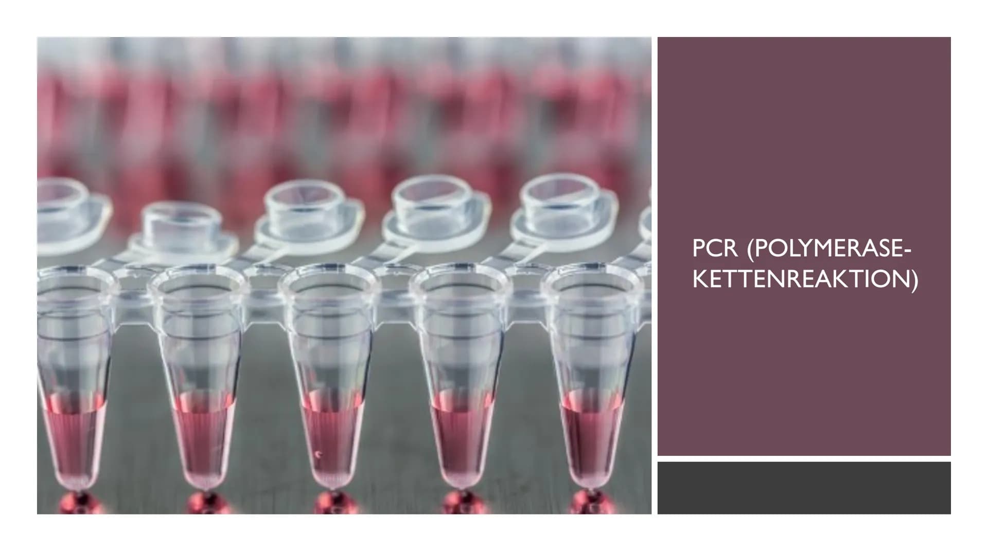 PCR UND GELELEKTROPHORESE INHALTSVERZEICHNIS
PCR
1. Was ist PCR?
2. Kary Mullis
3. Warum wird PCR durchgeführt
4. Was wird für die PCR-Reakt