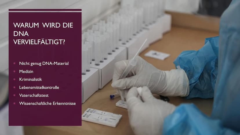 PCR UND GELELEKTROPHORESE INHALTSVERZEICHNIS
PCR
1. Was ist PCR?
2. Kary Mullis
3. Warum wird PCR durchgeführt
4. Was wird für die PCR-Reakt