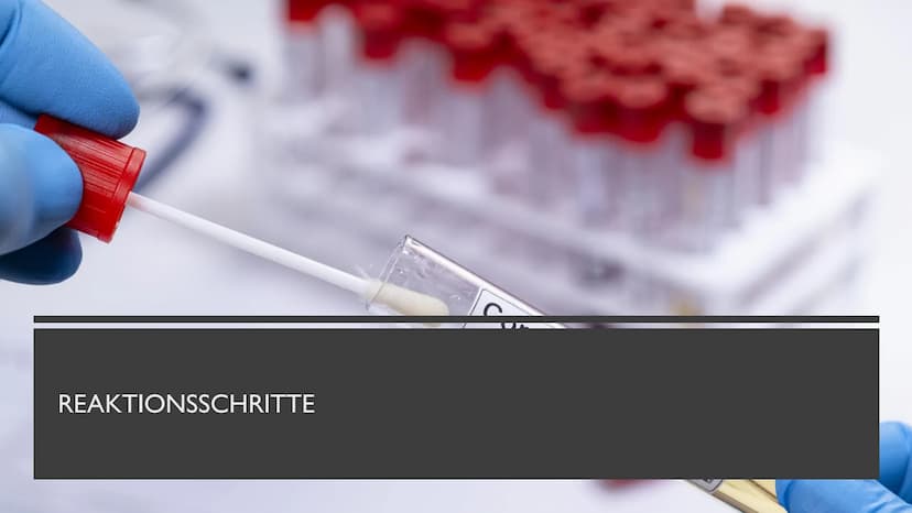 PCR UND GELELEKTROPHORESE INHALTSVERZEICHNIS
PCR
1. Was ist PCR?
2. Kary Mullis
3. Warum wird PCR durchgeführt
4. Was wird für die PCR-Reakt