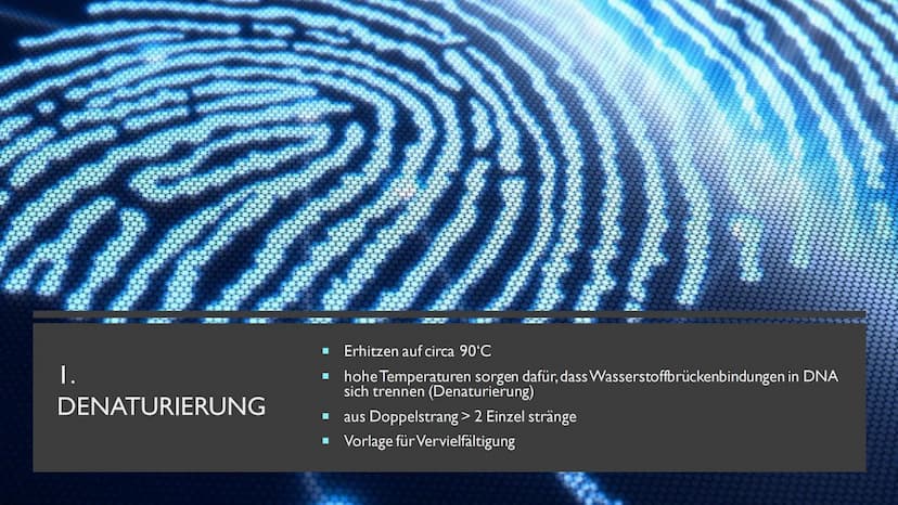 PCR UND GELELEKTROPHORESE INHALTSVERZEICHNIS
PCR
1. Was ist PCR?
2. Kary Mullis
3. Warum wird PCR durchgeführt
4. Was wird für die PCR-Reakt