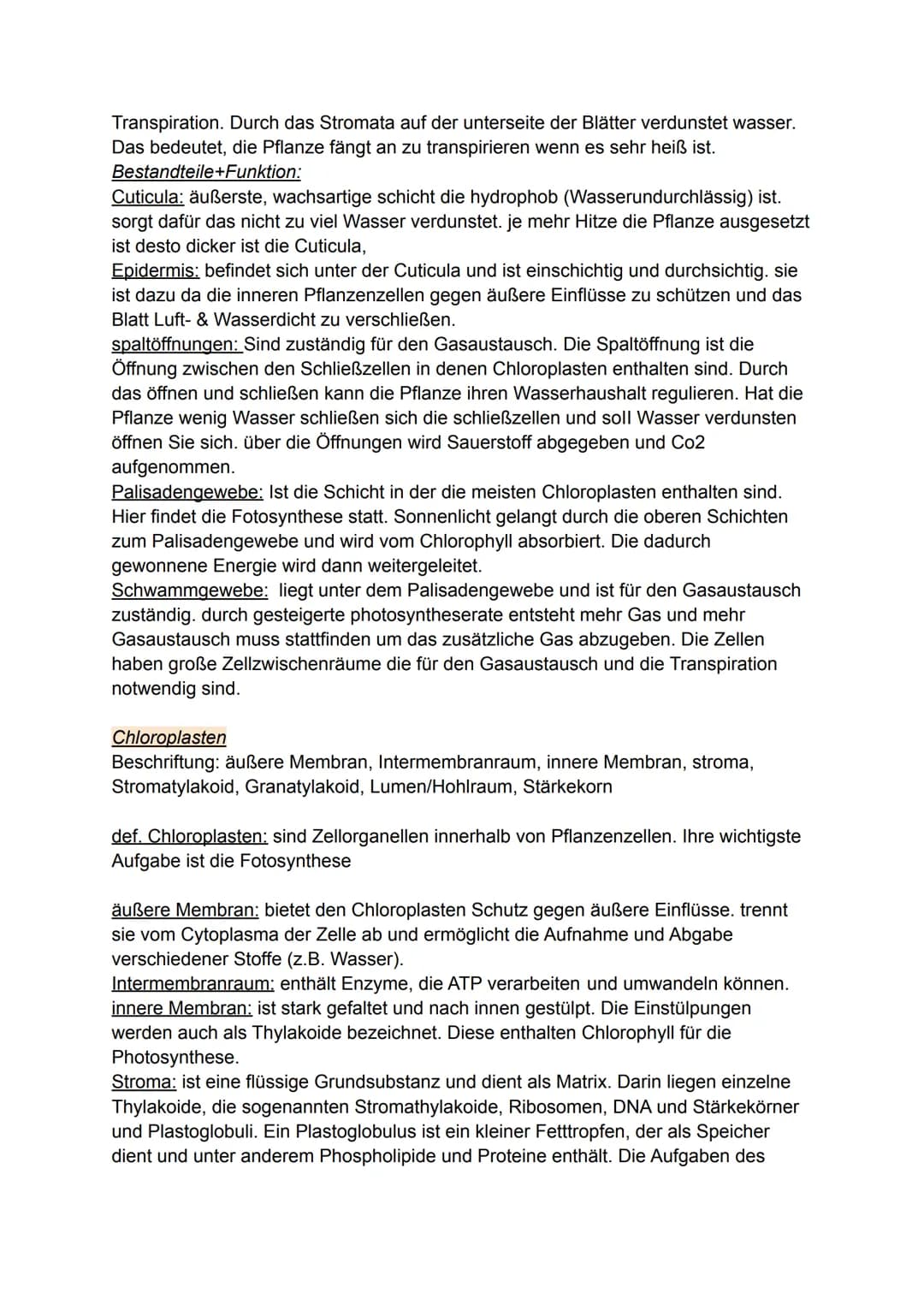 Fotosynthese
Vortrag von Darleen Noah Was ist Fotosynthese?
- ist eine redoxreaktion (Reduktion und Oxidation) -> Reaktion mit Sauerstoff un