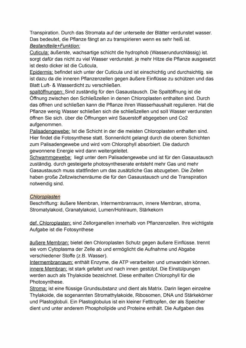 Fotosynthese
Vortrag von Darleen Noah Was ist Fotosynthese?
- ist eine redoxreaktion (Reduktion und Oxidation) -> Reaktion mit Sauerstoff un