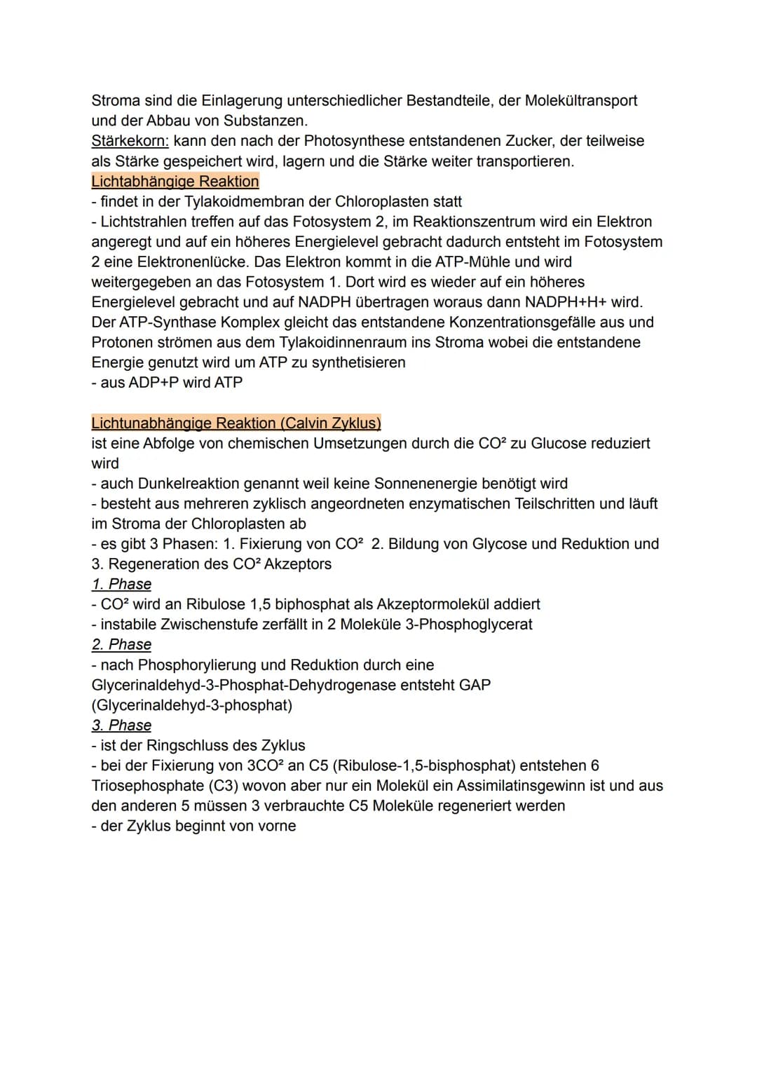 Fotosynthese
Vortrag von Darleen Noah Was ist Fotosynthese?
- ist eine redoxreaktion (Reduktion und Oxidation) -> Reaktion mit Sauerstoff un