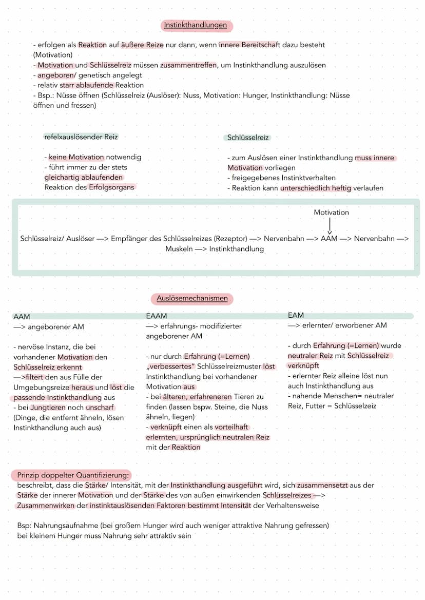 Ethologie
angeborenes Verhalten
-> Lehre von den Formen und Gesetzmäßigkeiten arttypischen Verhaltens bei Mensch und Tier
-> Lehre von Gewoh