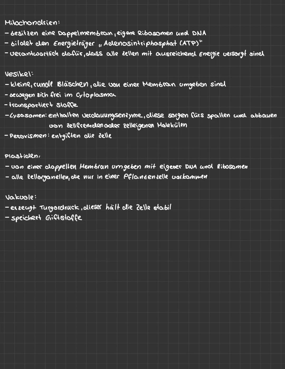 LERNZETTEL zellbiologie
zellorganellen:
pflanzenzelle:
Lysosom
glatles R
Cytoplasma
freie Bibostimen
Milochondrien
Ribosomen
Zentride
Golgi 