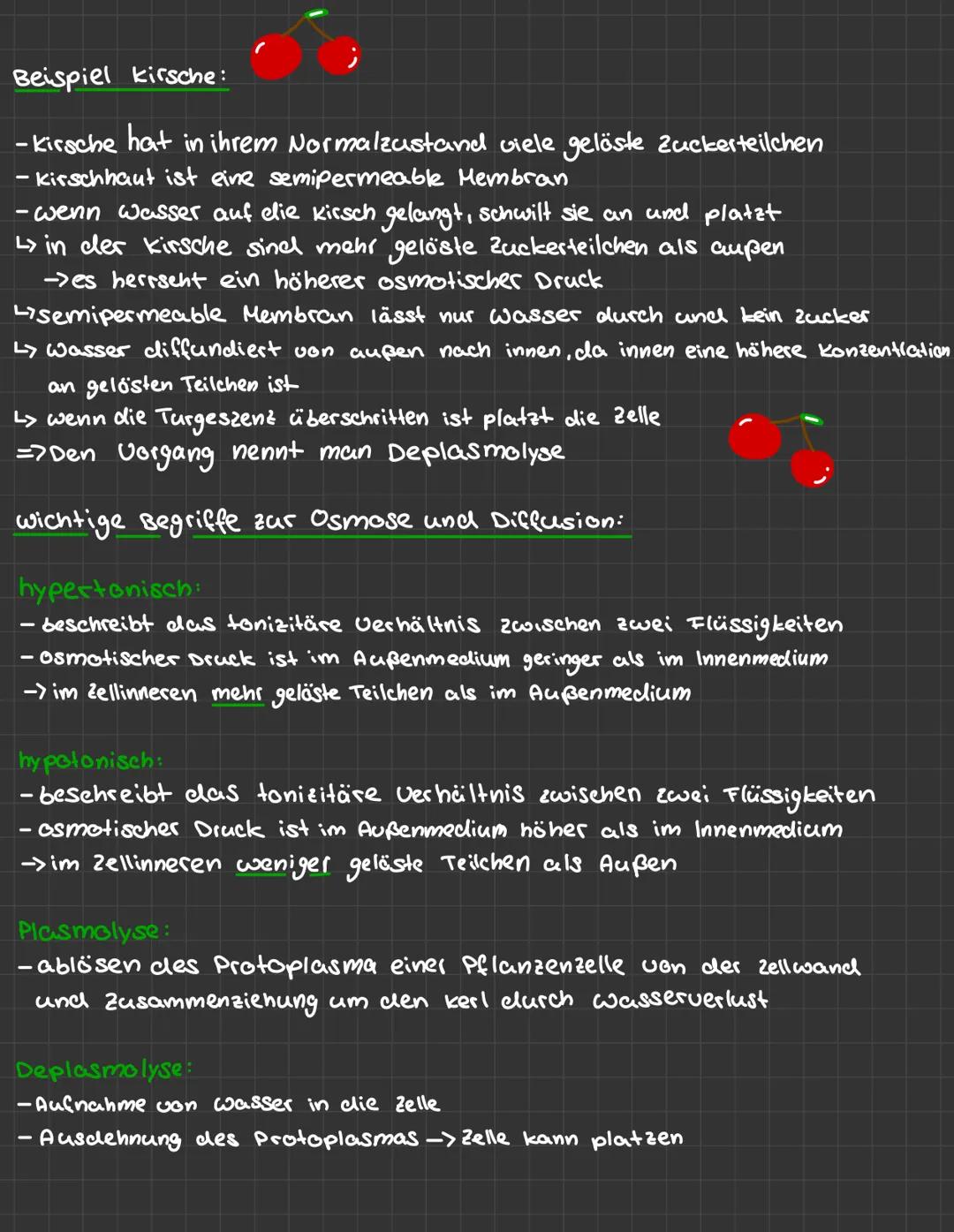 LERNZETTEL zellbiologie
zellorganellen:
pflanzenzelle:
Lysosom
glatles R
Cytoplasma
freie Bibostimen
Milochondrien
Ribosomen
Zentride
Golgi 