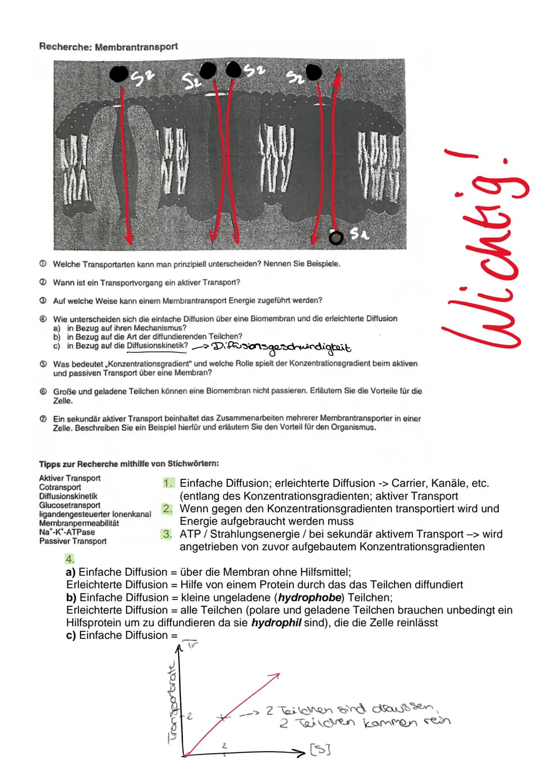 4.1.
4.2.
IV. Der zelluläre Stofftransport
Die Diffusion
Ist die Ausbreitung von Molekülen in dem zur Verfügung stehendem Raum aufgrund der
