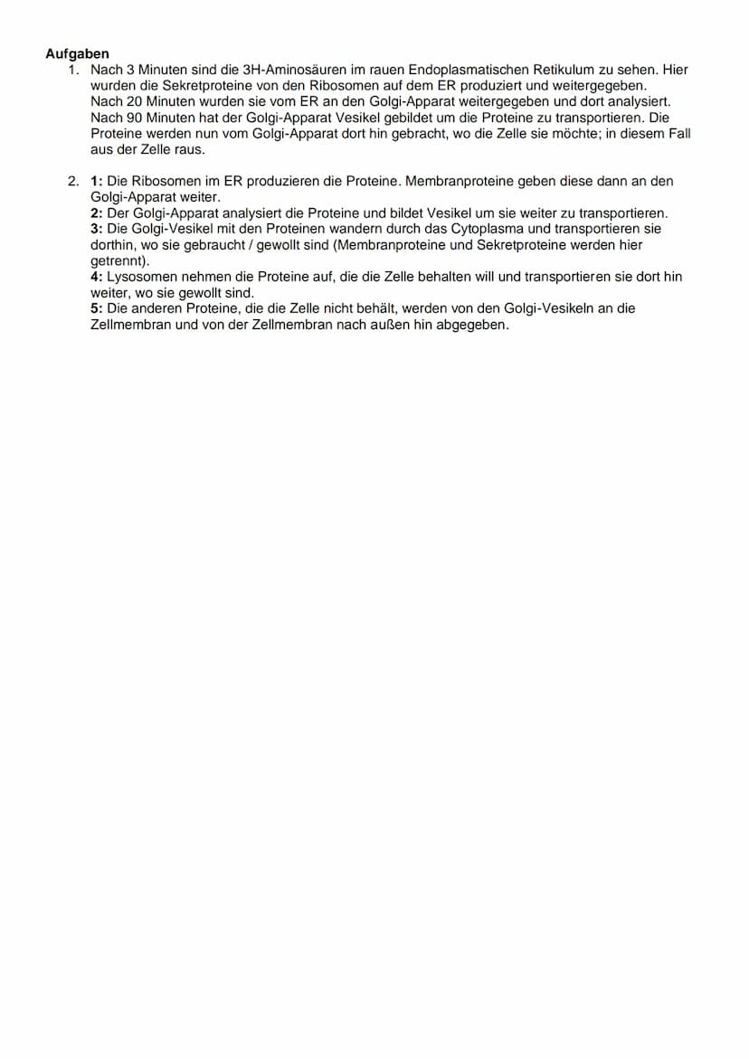 4.1.
4.2.
IV. Der zelluläre Stofftransport
Die Diffusion
Ist die Ausbreitung von Molekülen in dem zur Verfügung stehendem Raum aufgrund der
