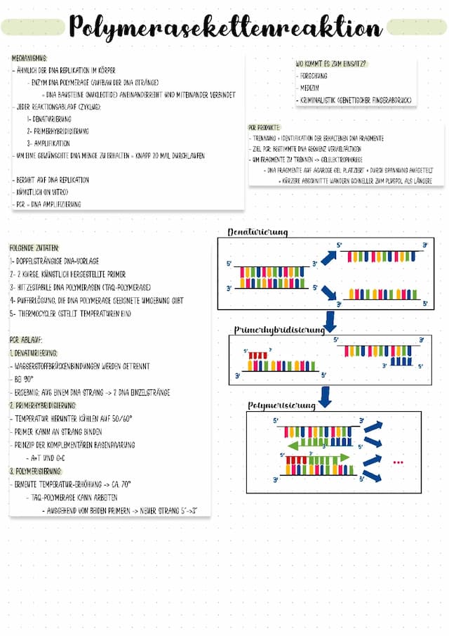 Know PCR thumbnail