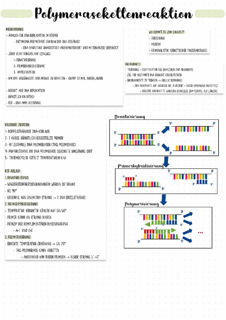 Know PCR thumbnail