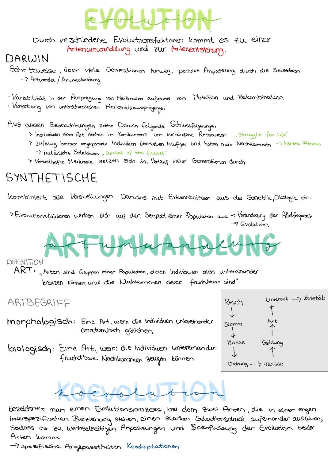 Coole Sachen über Evolution: Darwins Theorie und wie Arten sich verändern