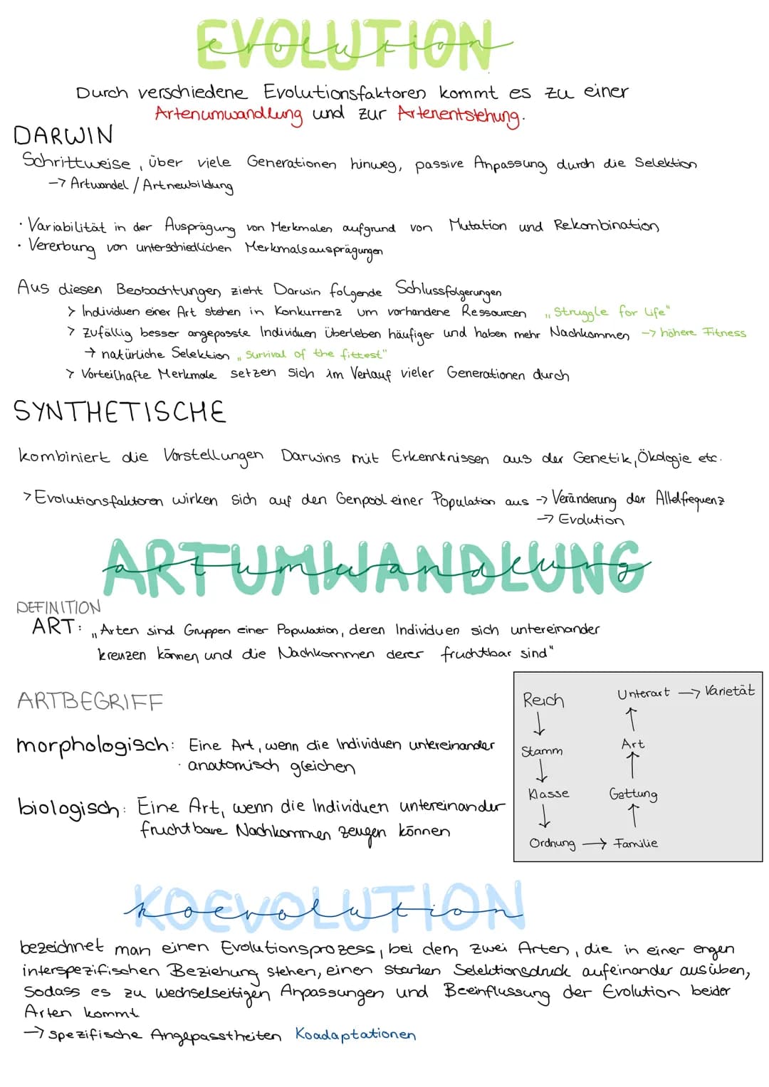 Durch
EVOLUTION
verschiedene Evolutionsfaktoren kommt es zu einer
Artenumwandlung und zur Artenentstehung.
DARWIN
Schrittweise, über viele G
