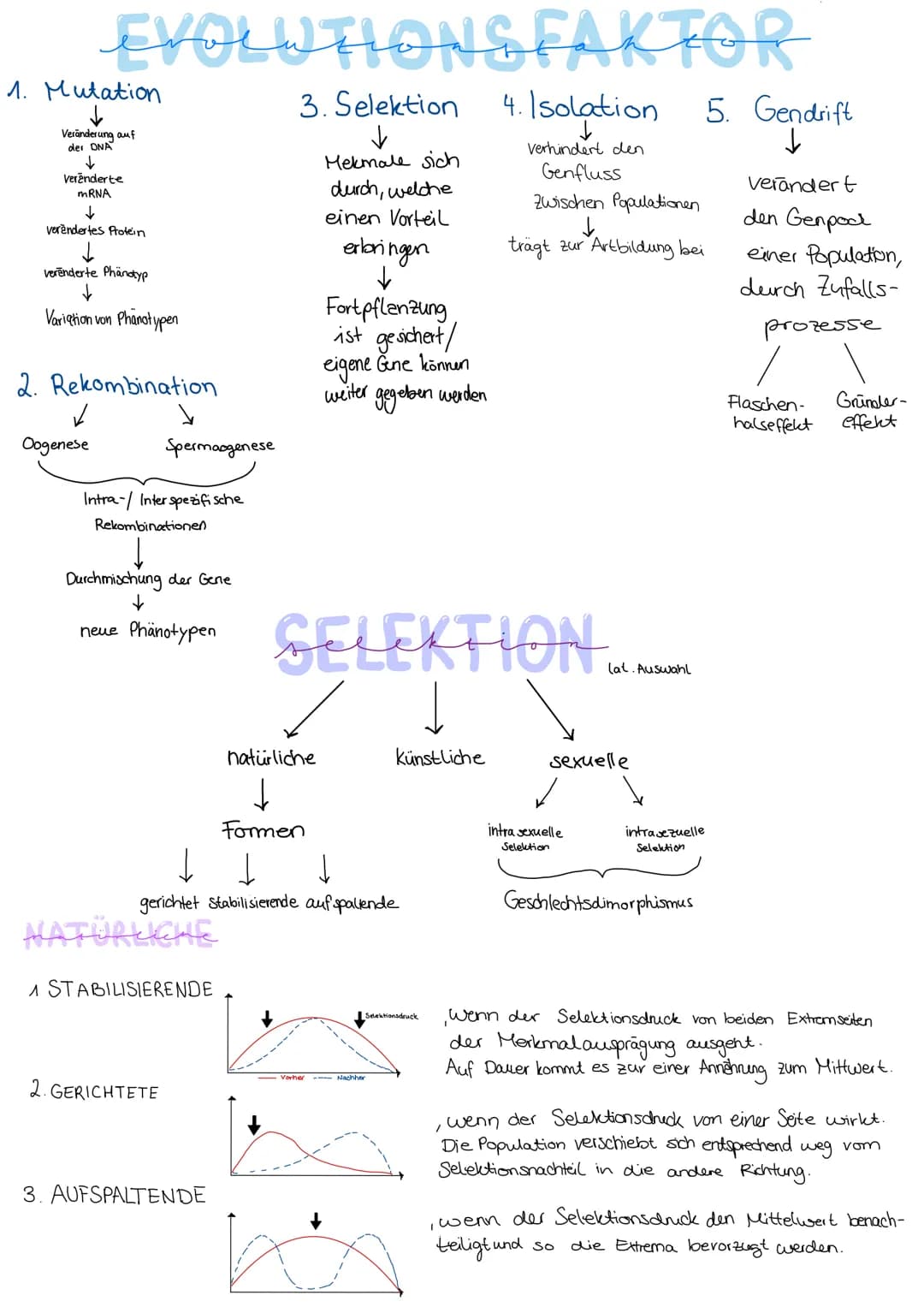 Durch
EVOLUTION
verschiedene Evolutionsfaktoren kommt es zu einer
Artenumwandlung und zur Artenentstehung.
DARWIN
Schrittweise, über viele G