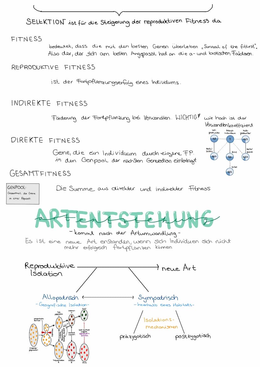 Durch
EVOLUTION
verschiedene Evolutionsfaktoren kommt es zu einer
Artenumwandlung und zur Artenentstehung.
DARWIN
Schrittweise, über viele G