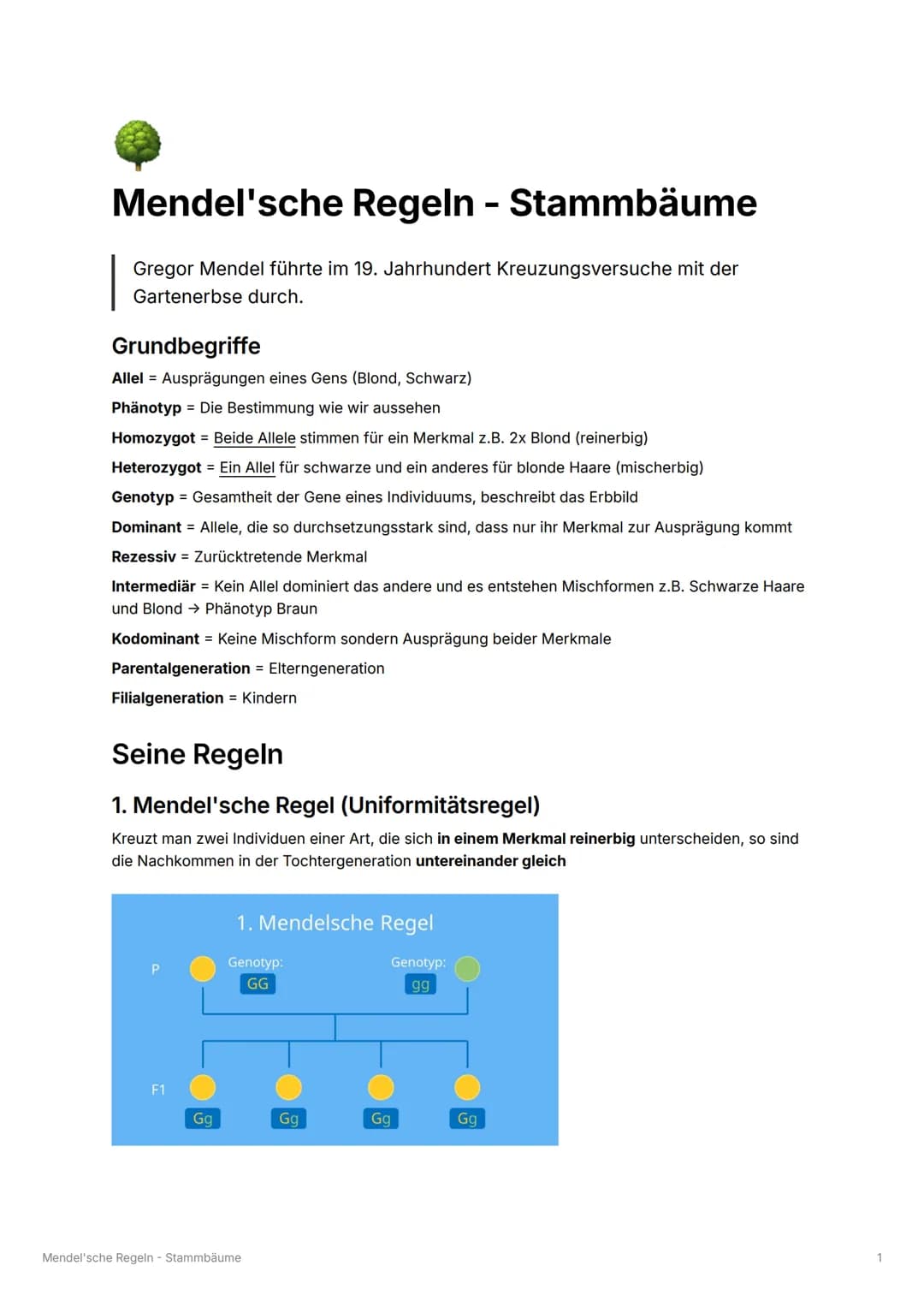 Mendel'sche Regeln - Stammbäume
Gregor Mendel führte im 19. Jahrhundert Kreuzungsversuche mit der
Gartenerbse durch.
Grundbegriffe
Allel Aus