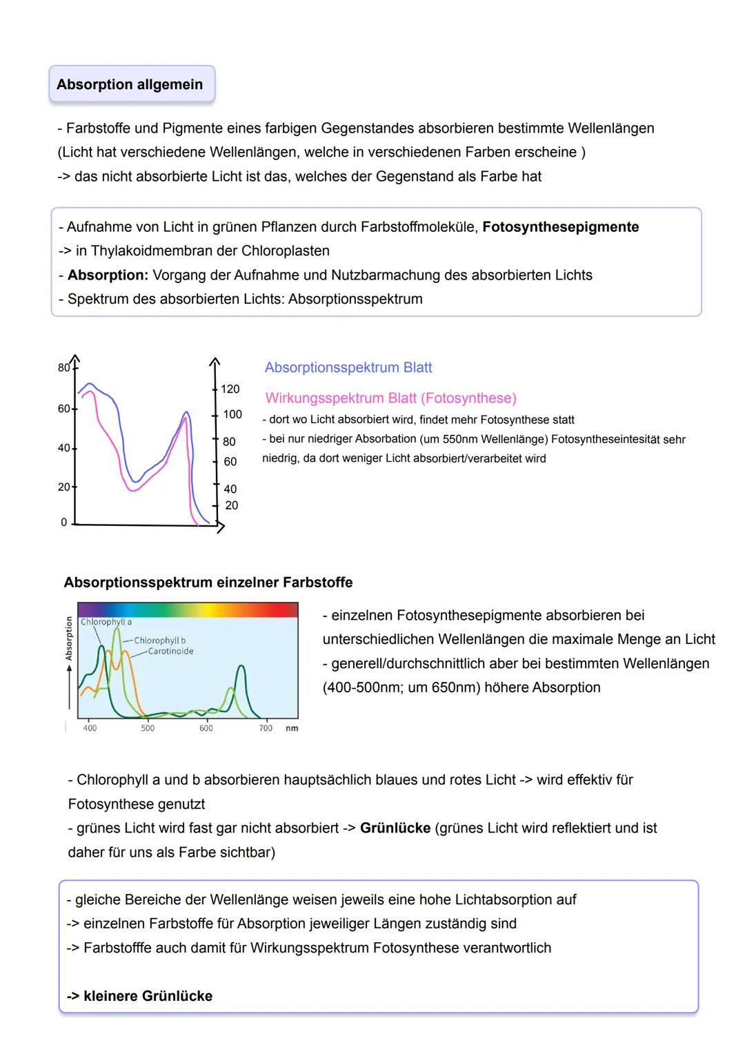 # Absorption allgemein

- Farbstoffe und Pigmente eines farbigen Gegenstandes absorbieren bestimmte Wellenlängen
(Licht hat verschiedene Wel
